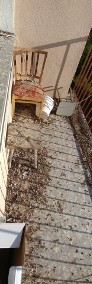 Sprzątanie balkonów montaż siatek ochronnych przeciw gołębiom dla kota-3