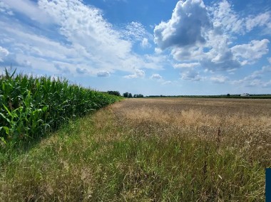 Bojszowy, działka budowlana  z warunkami zabudowy-1