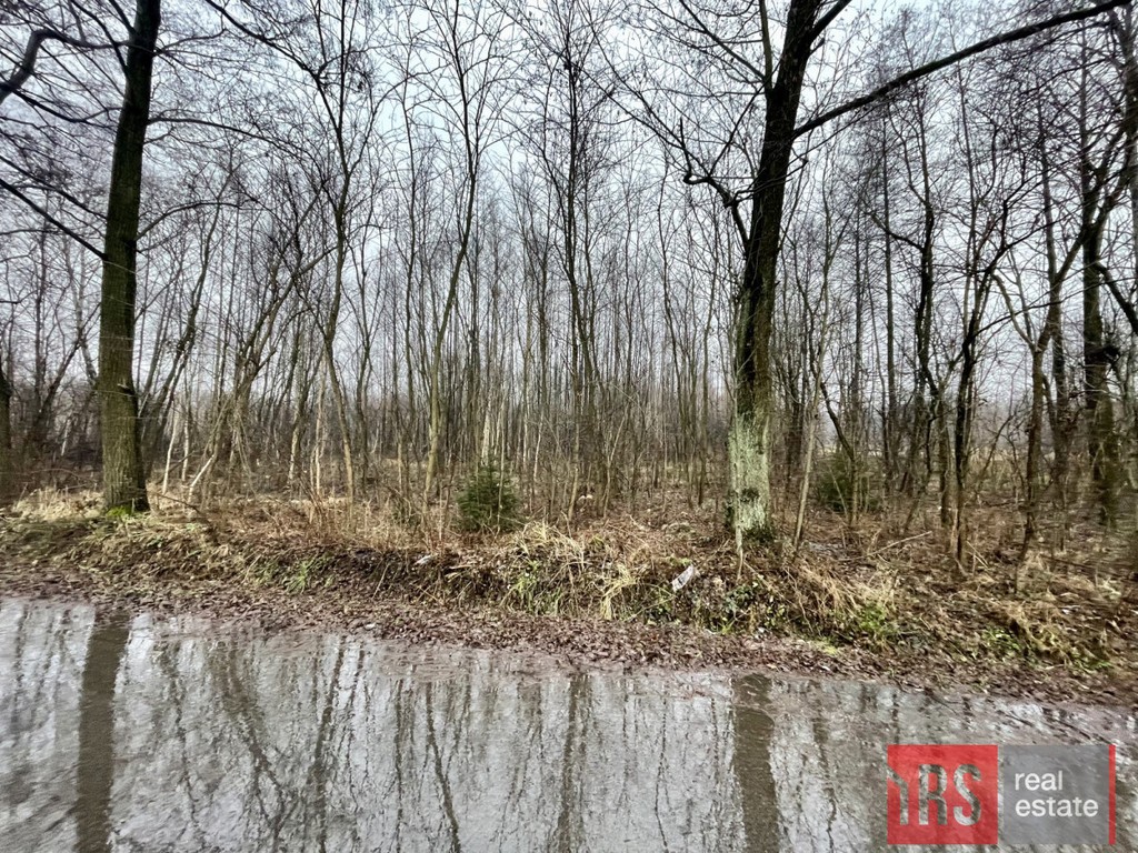 Działka pod zabudowę 3500 m² z warunkami zabudowy - Widok 3