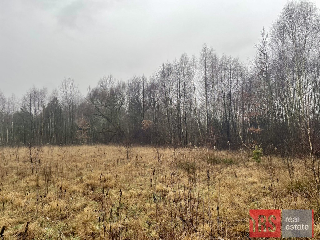 Działka pod zabudowę 3500 m² z warunkami zabudowy - Widok 4