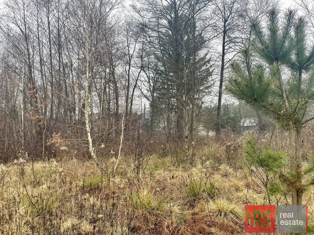 Działka pod zabudowę 3500 m² z warunkami zabudowy - Widok 5