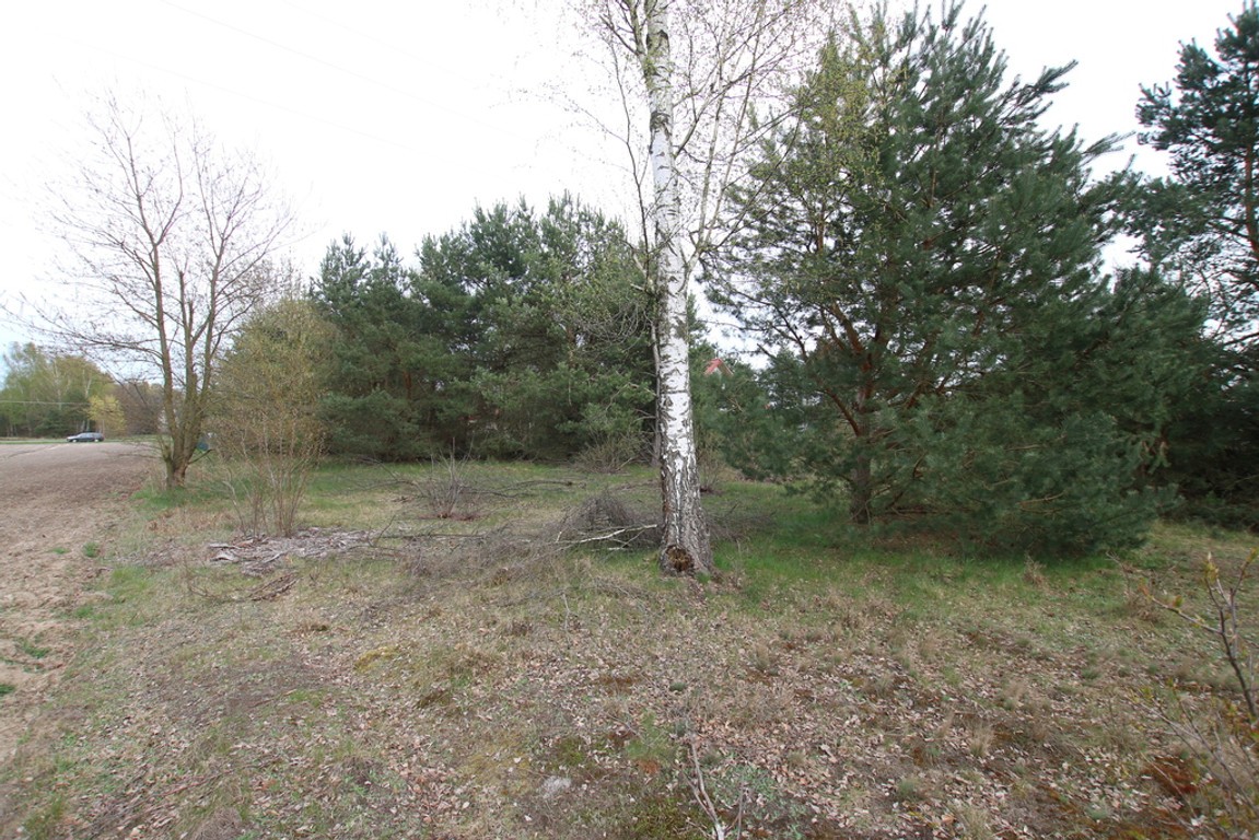 Duża działka 0,6 ha rolno budowlana Wola Lisowska - Widok 6