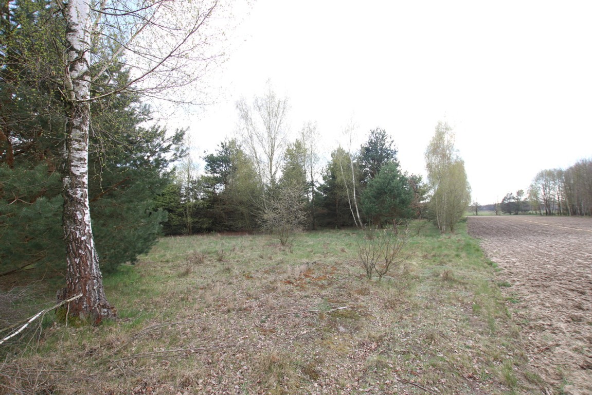 Duża działka 0,6 ha rolno budowlana Wola Lisowska - Więcej