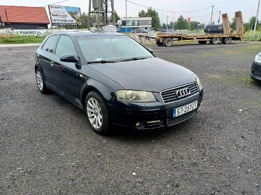 Audi A3 II (8P) Audi A3 1.6 03r-1