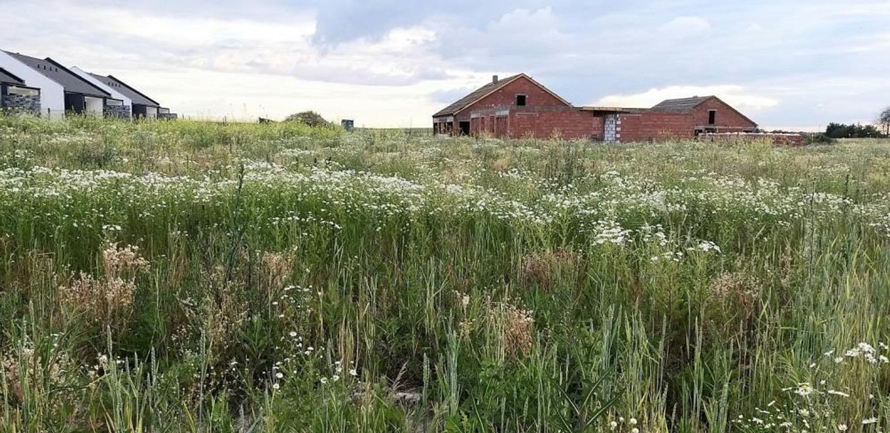 Działka na sprzedaż, 887 m², Tarnowo Podgórne Tarnowo Podgórne - Widok 2