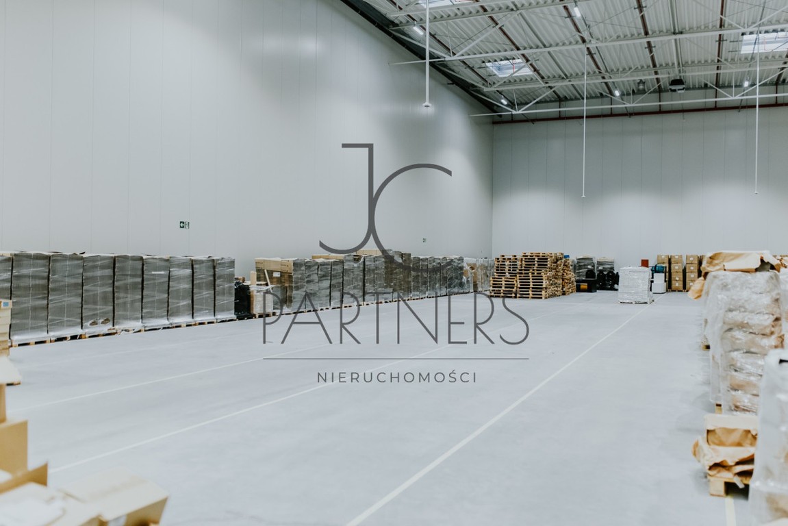 Magazyn 500 m²+biuro 224 m² Okęcie - Widok 3