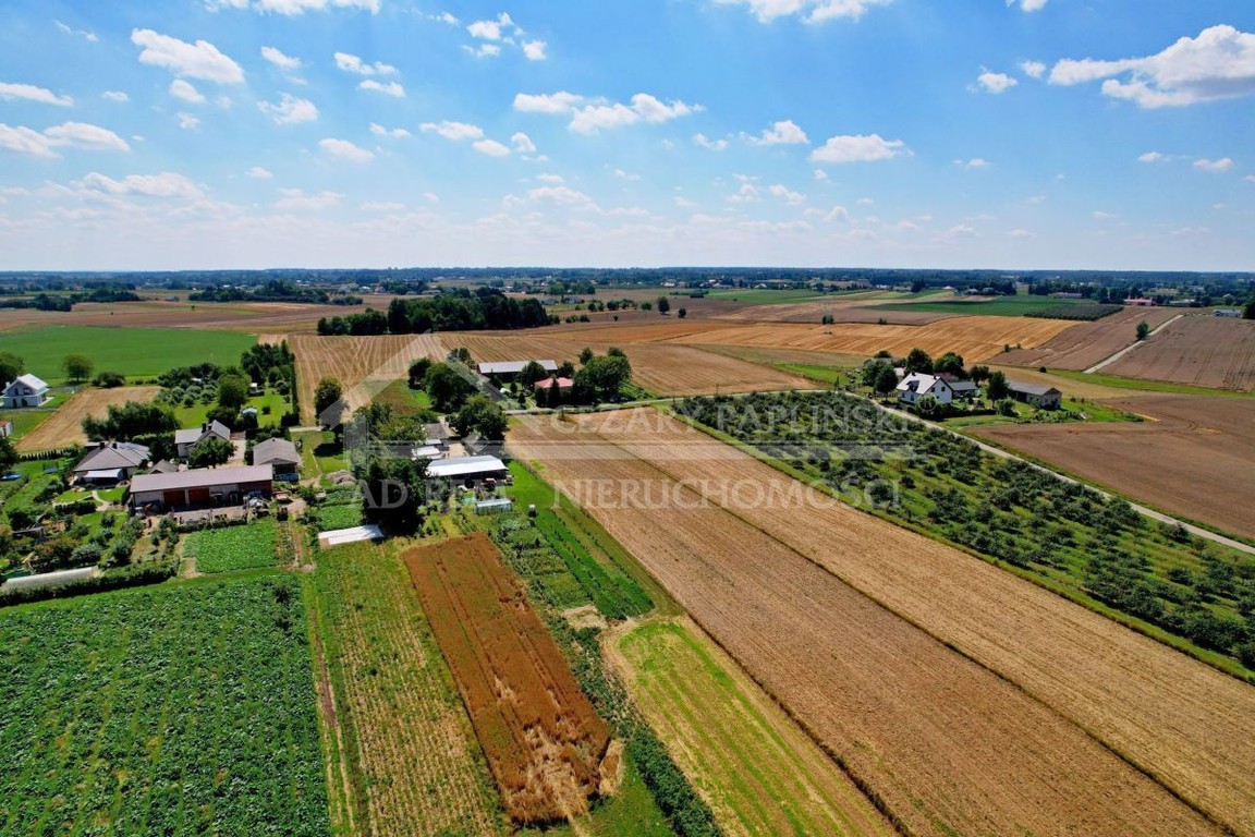 Sieprawice, budowlana, 1500 mkw - Widok 4
