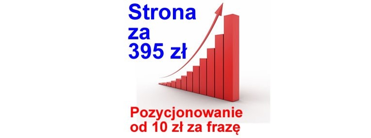 Strona wizytówka Koszalin tania strona internetowa WWW strony mobilne-1