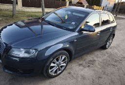 Audi A3 II (8P) Quattro S-Line