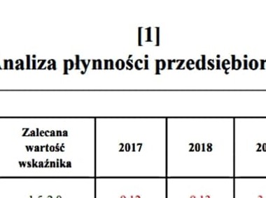 "Analiza płynności, rentowności, zadłużenia"  - Projekt Studia-1