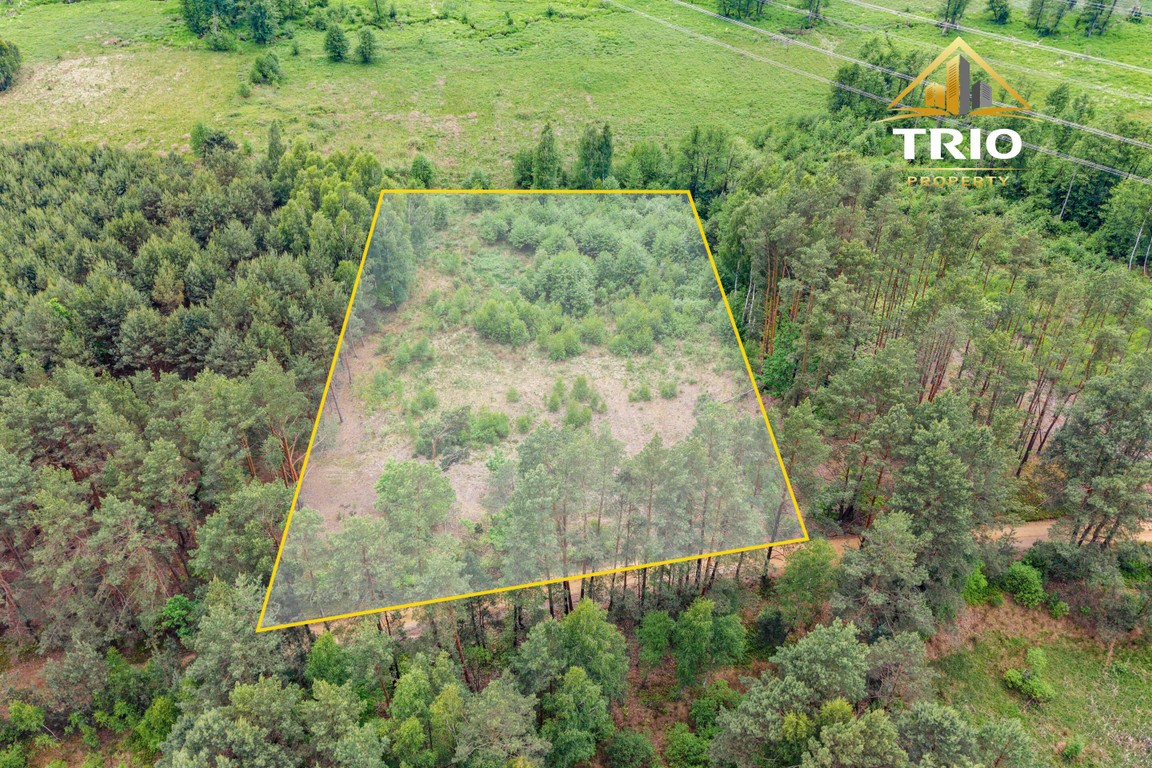 19 200 m² wśród lasów | Warunki zabudowy | Kąty Borucza - Widok 2