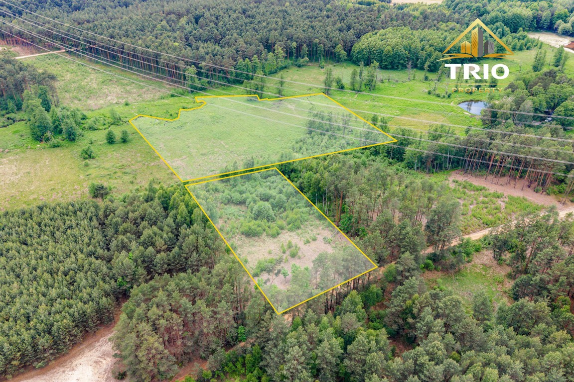 19 200 m² wśród lasów | Warunki zabudowy | Kąty Borucza - Widok 4