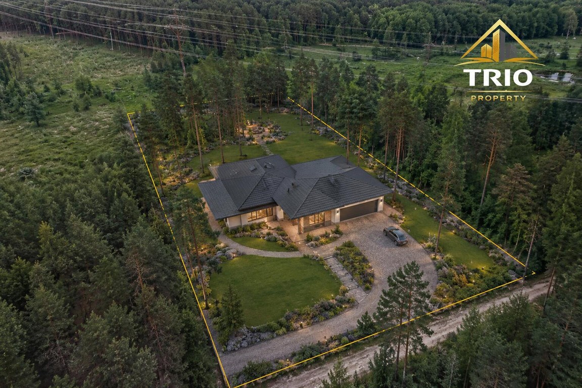 19 200 m² wśród lasów | Warunki zabudowy | Kąty Borucza - Widok 5
