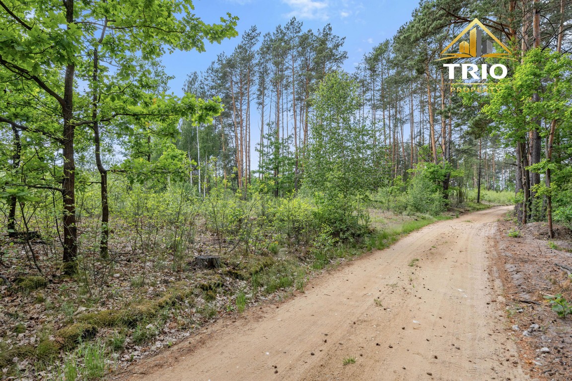 19 200 m² wśród lasów | Warunki zabudowy | Kąty Borucza - Widok 6
