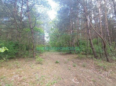 Działki w otulinie lasu, Książenice-1