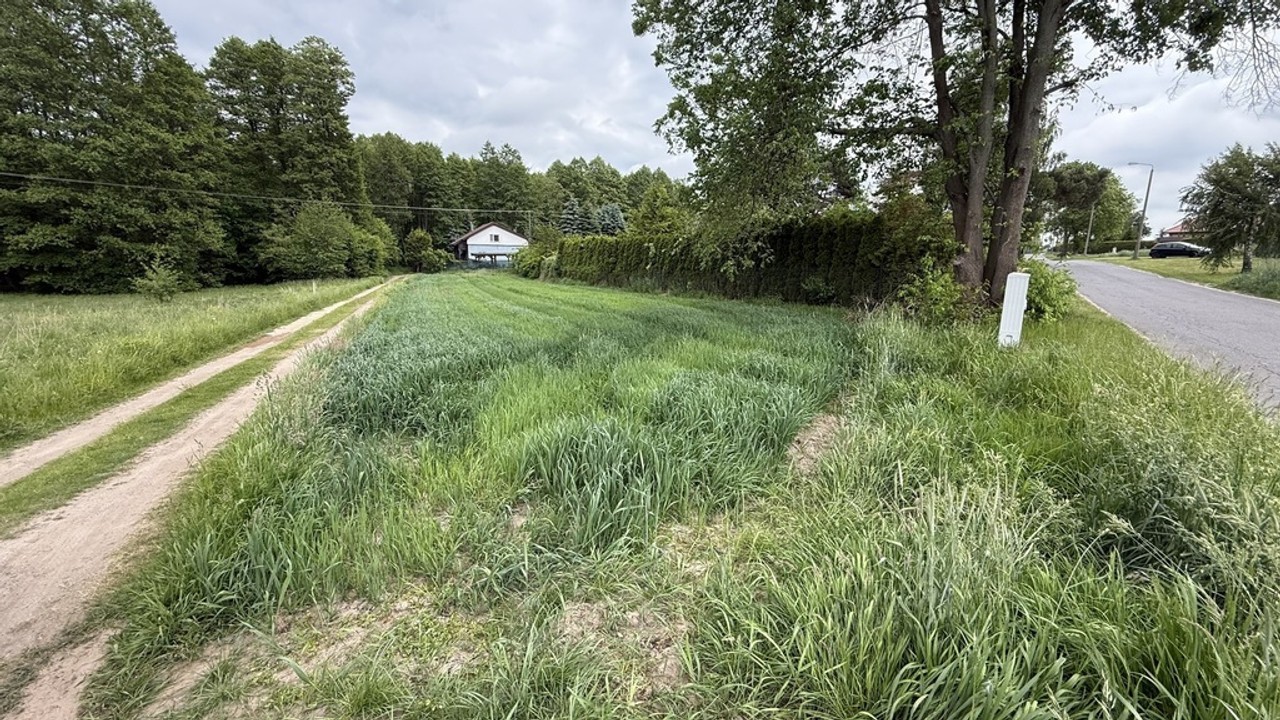 Stare Skoszewy: Działka z duszą i widokiem - Widok 3