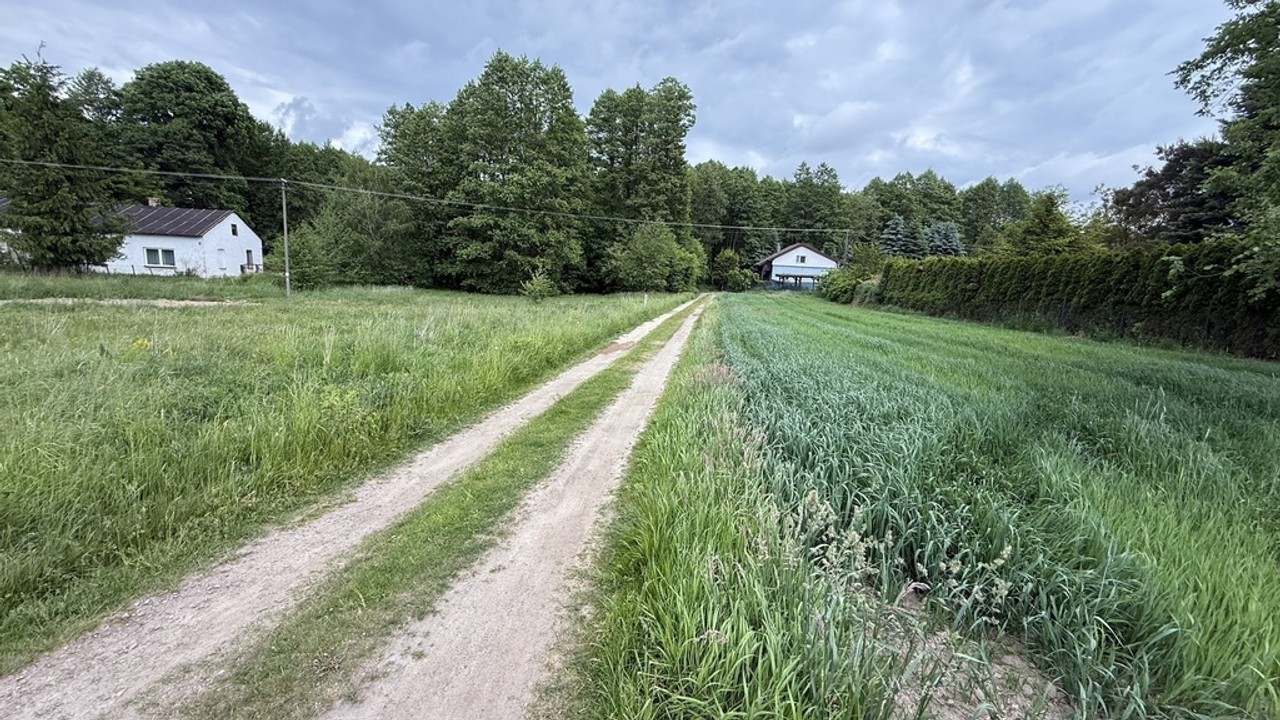 Stare Skoszewy: Działka z duszą i widokiem - Widok 5