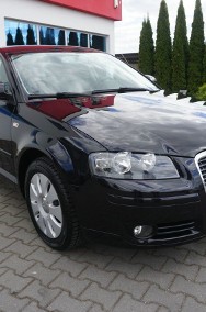 Audi A3 II (8P)-2