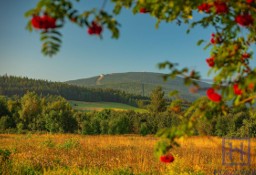 Działka budowlana Świeradów-Zdrój