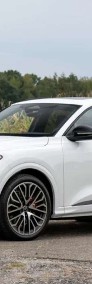 Audi SQ5 I (8R)-3