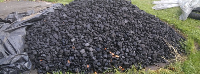 węgiel orzech ponad 800 kg -1