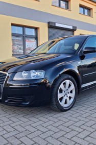 Jeden właściciel -2