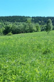 Działka rolno-leśna w Zawoi-2