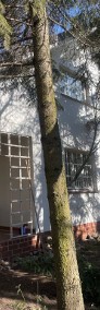 Sprzedam apartament 6-pok.200m, garaż, ogródek-1990r-Ursynów-St.Imielin-Bociania-4