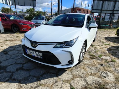 1.6 Salon Polska-1