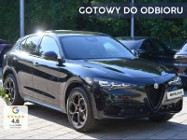 Alfa Romeo Stelvio 2.0 Turbo Intensa Q4 2.0 Turbo Intensa Q4 (280KM)