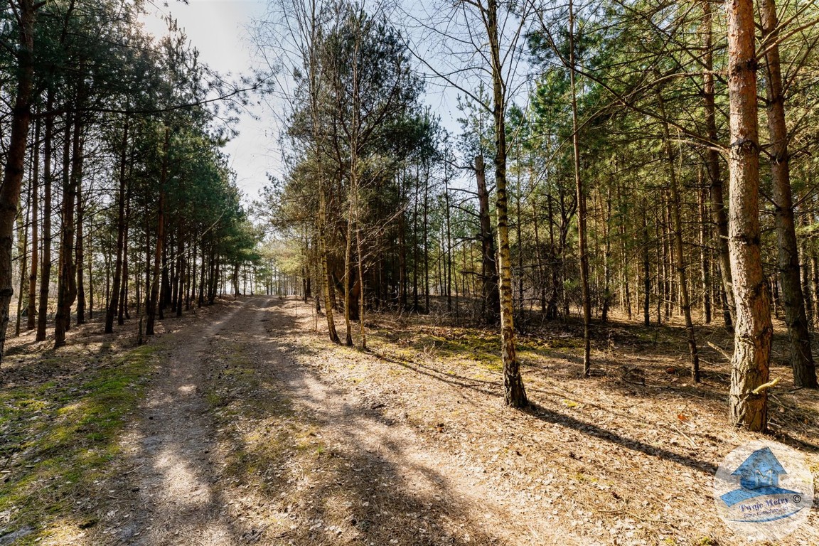 Działka z wydaną decyzją o warunkach zabudowy - Widok 3