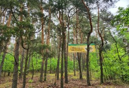 Działka leśna Borzęcin Duży