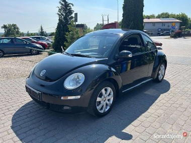 Volkswagen New Beetle-1
