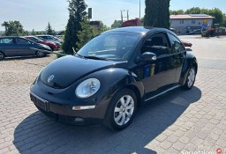 Volkswagen New Beetle