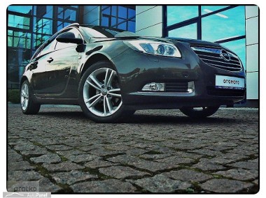 Opel Insignia I Country Tourer Cosmo Xsenon LED Skóra Navi 160 KM. Przebieg 206 tyś Jak Nowa Serwis-1