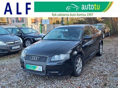 Audi A3 II (8P) *Zarejestrowana*1,9 TDi*105KM*-1