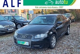 Audi A3 II (8P) *Zarejestrowana*1,9 TDi*105KM*