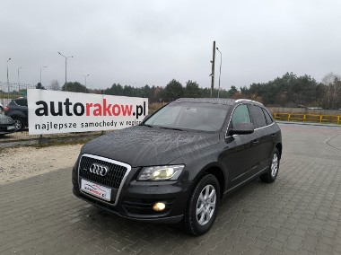 Audi Q5 I (8R)-1