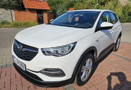 Opel Grandland X 1,2 130 KM Serwisowany Bezwypadkowy Super Stan