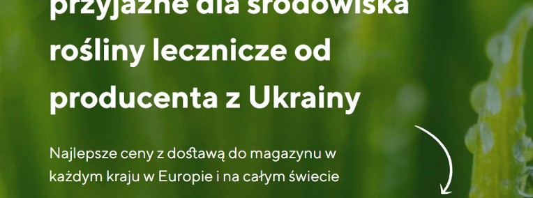 Sprzedaż hurtowa roślin leczniczych od producenta w najlepszych cenach-1