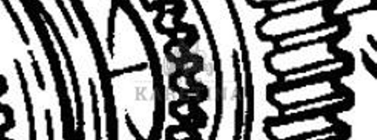 Fendt Favorit 514 Koło Zębate Walcowe CZĘŚCI 514100220120-1