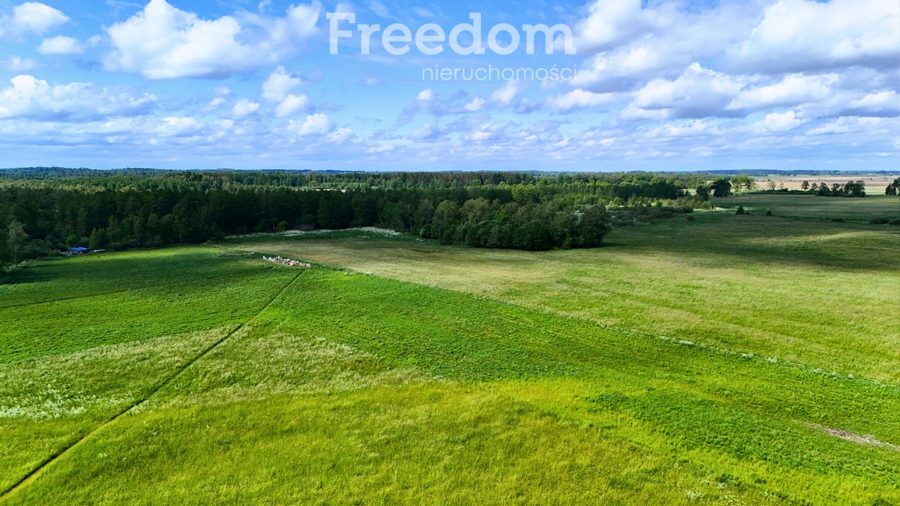 5 DZIAŁEK Z WARUNKAMI ZABUDOWY - WYDMINY, MAZURY - View 5