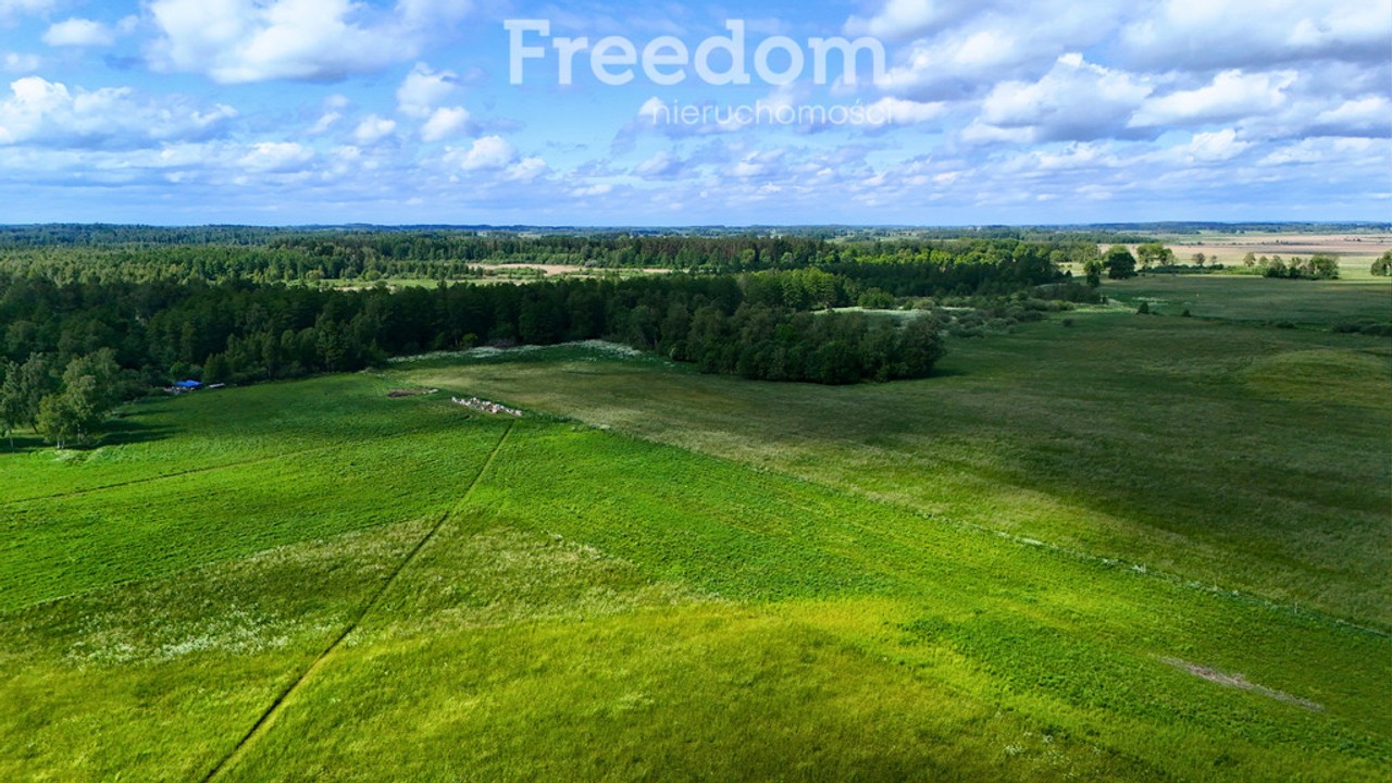 5 DZIAŁEK Z WARUNKAMI ZABUDOWY - WYDMINY, MAZURY - View 6