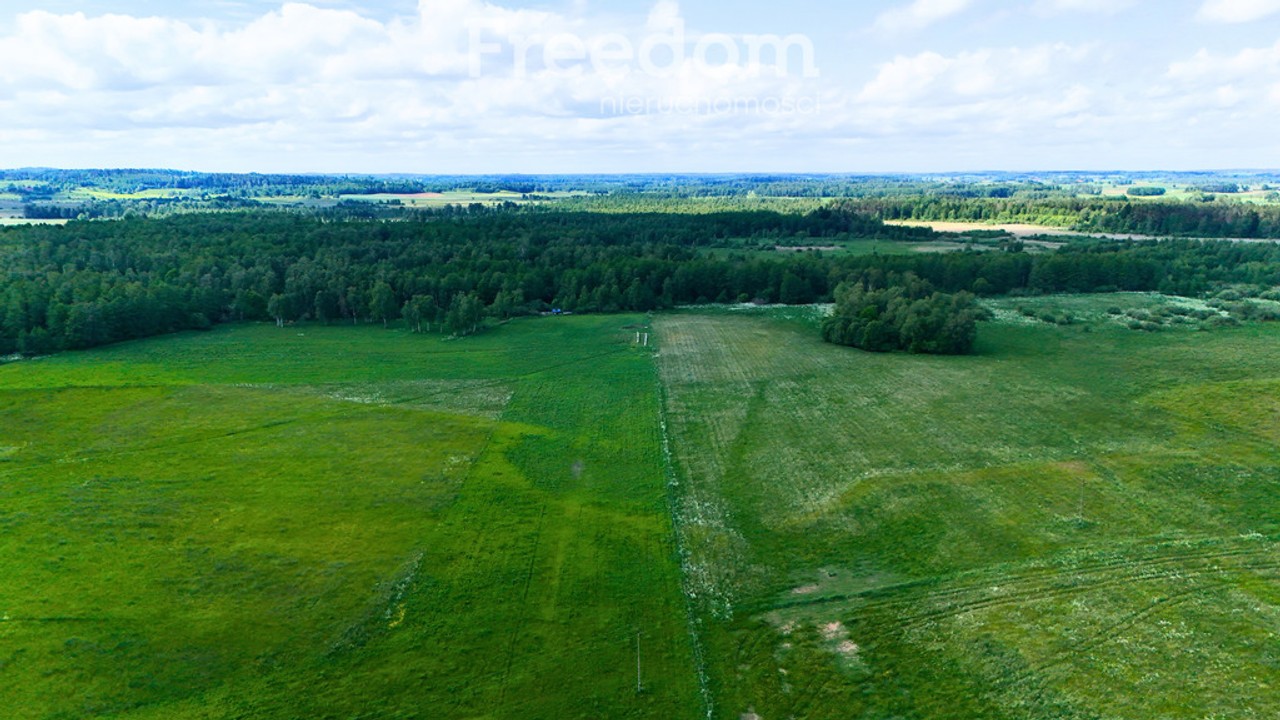 5 DZIAŁEK Z WARUNKAMI ZABUDOWY - WYDMINY, MAZURY - More