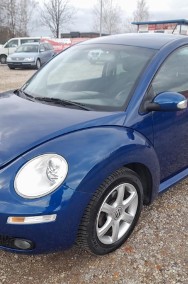 Volkswagen Beetle-2