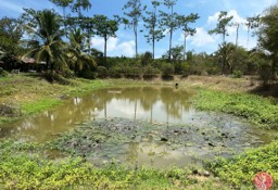 Działka inna Phang Nga