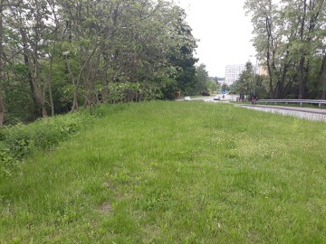 Działka inna Jastrzębie-Zdrój, ul. Graniczna