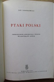 Ptaki Polski - J.Sokołowski / ptaki / atlas / fauna/las/-2