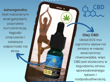 Olejek CBD na stres - Stress Control z Ashwagandhą Premicanna-CBD 7%-2