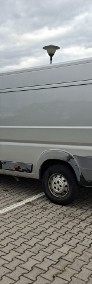 MAXI   L4H2   Salon Polska-4